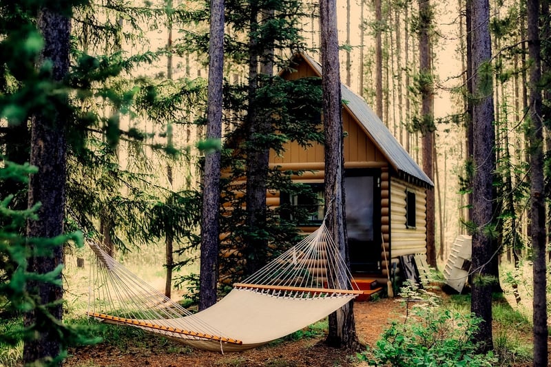 Forest Hideaways